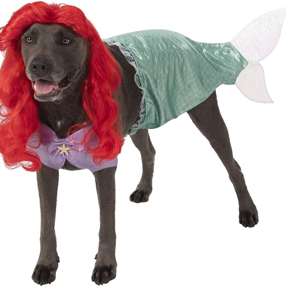 Weird Dog Clothes
